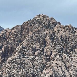 Meet your Posher, Colleen